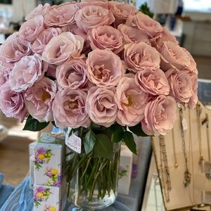 Meet your Posher, Sondra